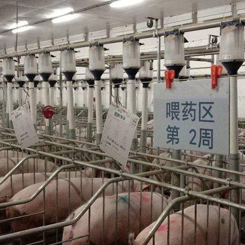 河南省正阳种猪场365体育畜牧设备合作项目